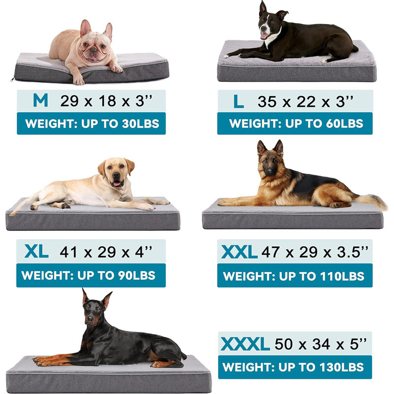 Size of large dog bed hotsell